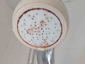 Shower Heads should always be kept clean!