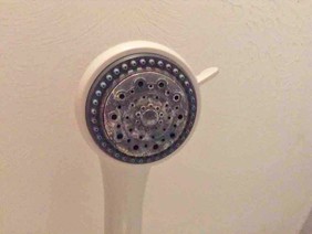 Shower Heads should always be kept clean!