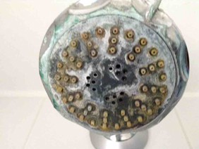Shower Heads should always be kept clean!