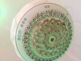 Shower Heads should always be kept clean!