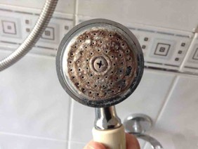 Shower Heads should always be kept clean!